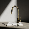 Wodar Flex Pull Out Kitchen Sink Mixer Aged Brass