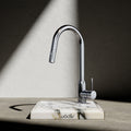 Wodar Flex Pull Out Kitchen Sink Mixer Chrome