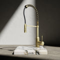 Wodar Pro Pull & Flex Hose Kitchen Sink Mixer Brushed Brass