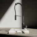 Wodar Pro Pull & Flex Hose Kitchen Sink Mixer Gun Metal Grey