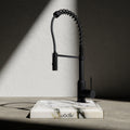 Wodar Pro Pull & Flex Hose Kitchen Sink Mixer Matt Black
